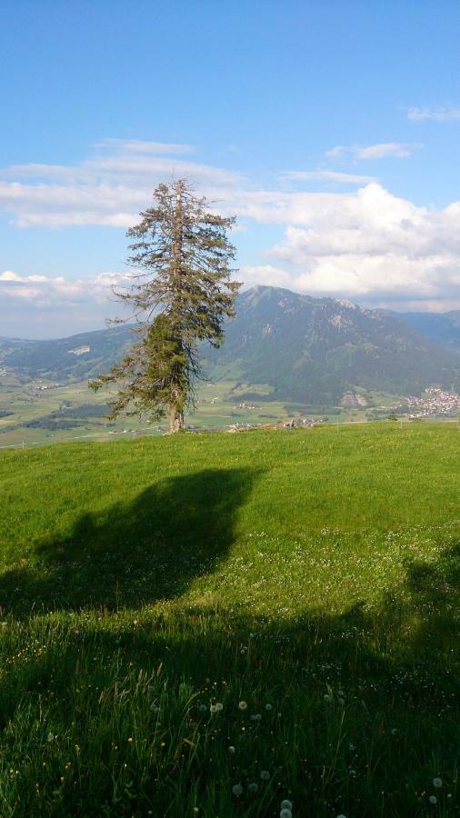 Ferienwohnung Schoenau Immenstadt im Allgäu Buitenkant foto